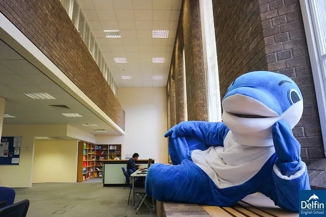 Delfin
