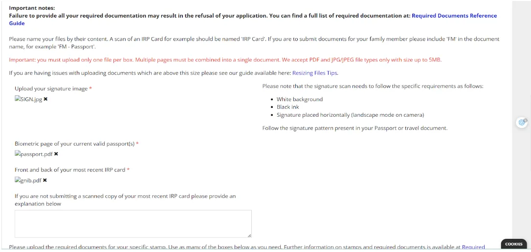 INIS required documents