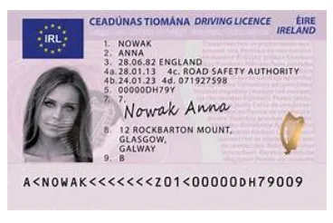 Irish driving licence