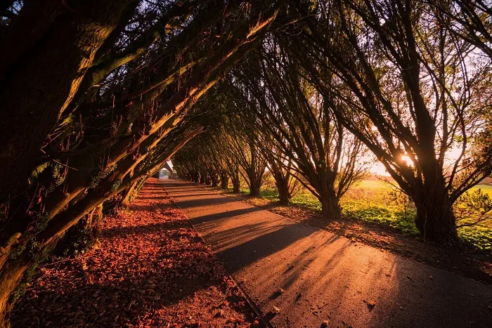 Maynooth University campus